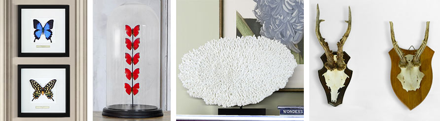 banner objects and curio cabinets